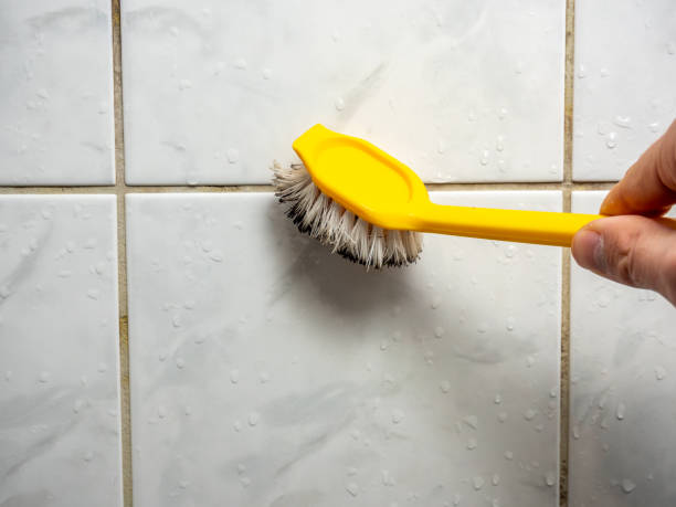 Best Local Mold Removal Service  in Paisley, FL