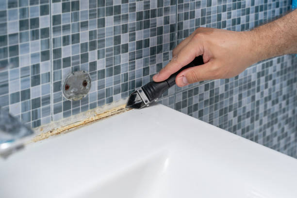 Best Fast Mold Removal  in Paisley, FL